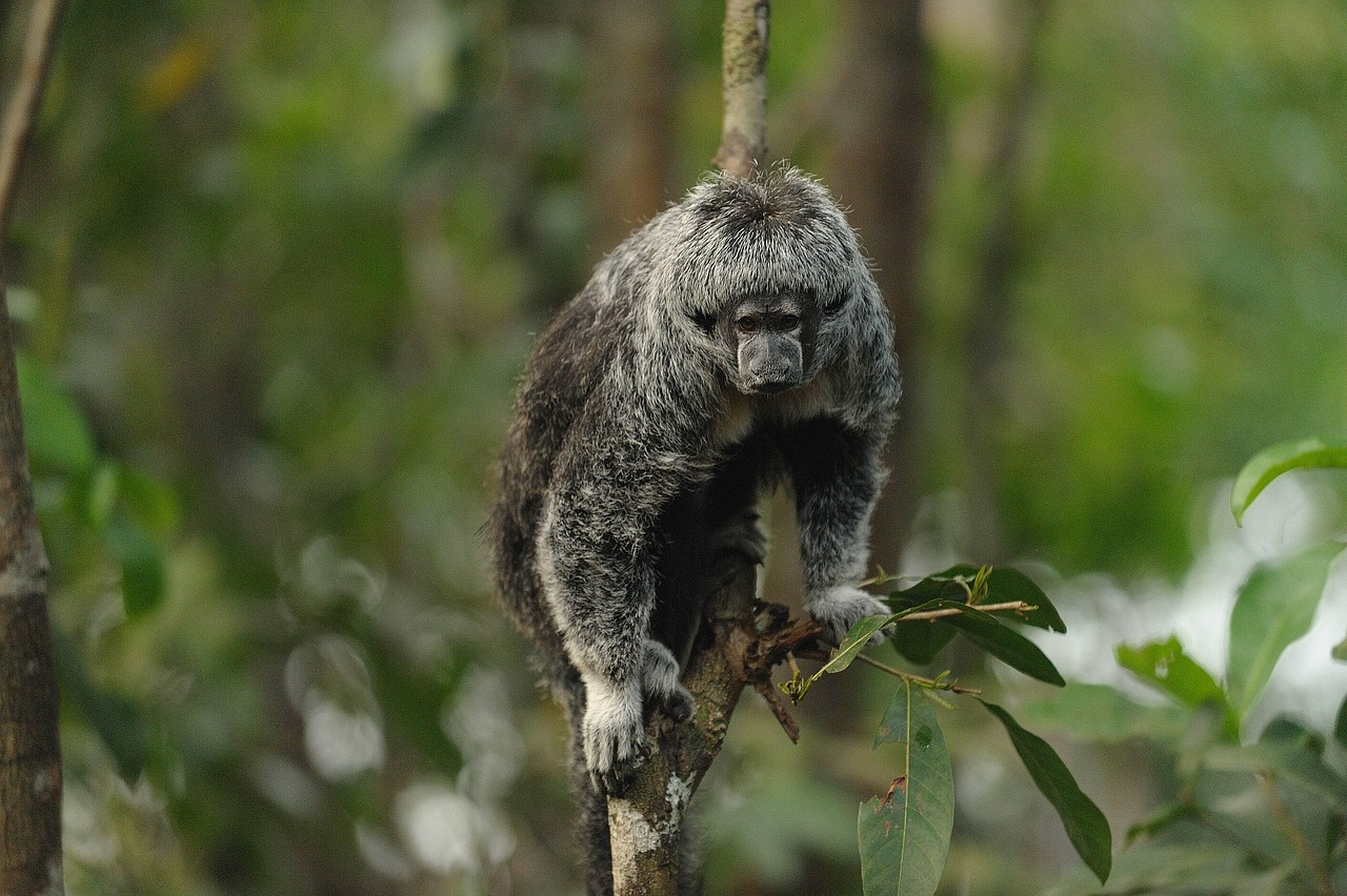 Aventura Turística Ecuador